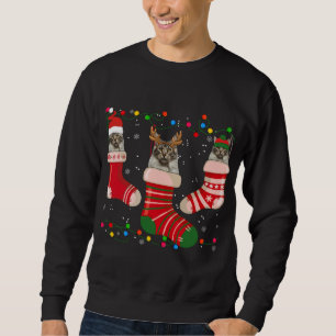 Fun Maine Coon die kerstfeestdagen stopt Trui