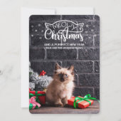 Fun meowy kerstcadeautje, nieuwe jaarkat (Voorkant)