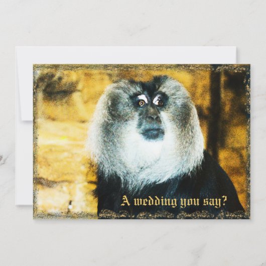 Fun Monkey Photo Zoo Wedding Invitations Kaart (Voorkant)