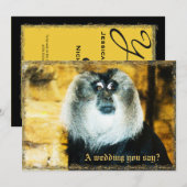 Fun Monkey Photo Zoo Wedding Invitations Kaart (Voorkant / Achterkant)