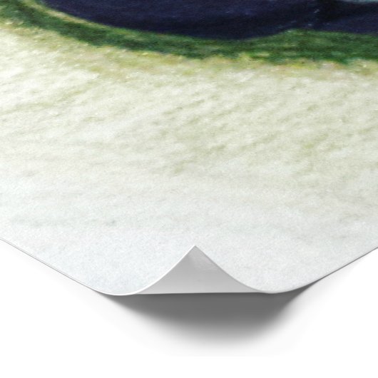 Fun Moo Koe Poster (Hoek)