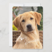 Fun My Best Friend Afbeelding Love Paw Print Kaart (Voorkant)