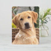 Fun My Best Friend Afbeelding Love Paw Print Kaart (Staand voorkant)