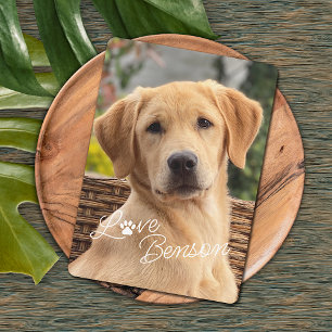 Fun My Best Friend Afbeelding Love Paw Print Kaart