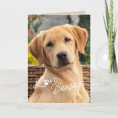 Fun My Best Friend Afbeelding Love Paw Print Kaart (Voorkant)