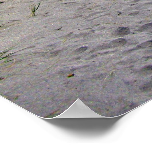 Fun on Siesta Keys Beach Poster (Hoek)