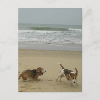 Fun op het strand briefkaart