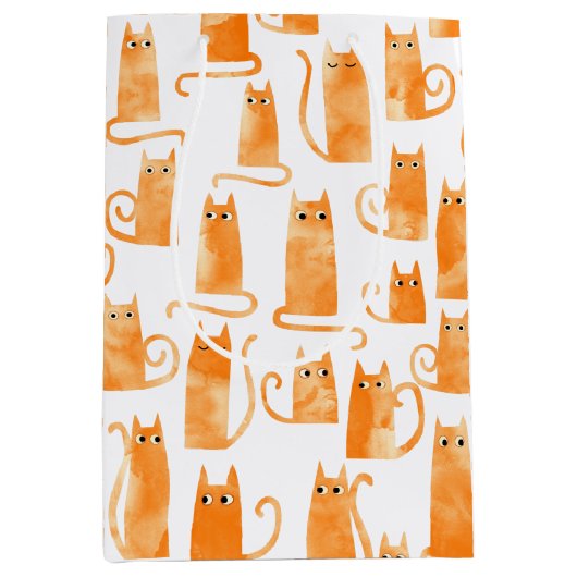 Fun Oranje Cat Medium Cadeauzakje (Voorkant)