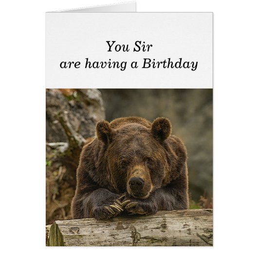 Fun Over the Hill Serious zien Grizzly Beer (Voorkant)