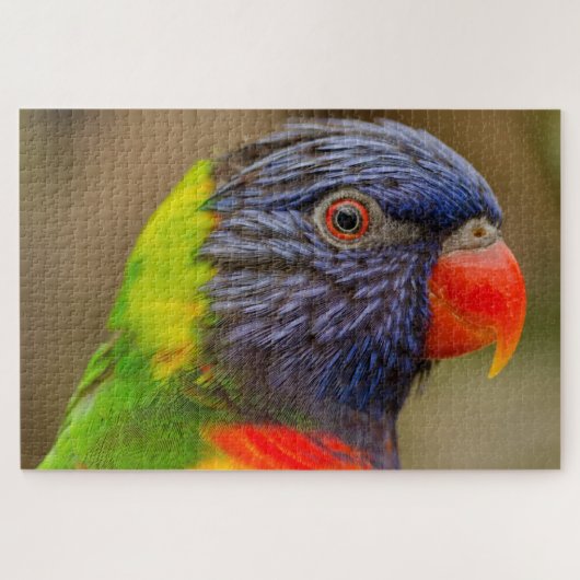 Fun Parrot, kleurrijk, moeilijk 1.000 stuks Legpuzzel (Horizontaal)