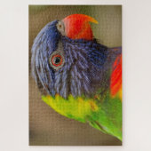 Fun Parrot, kleurrijk, moeilijk 1.000 stuks Legpuzzel (Verticaal)
