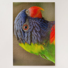 Fun Parrot, kleurrijk, moeilijk 1.000 stuks Legpuzzel