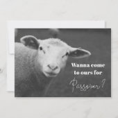 Fun Passover Invitation Kaart (Voorkant)