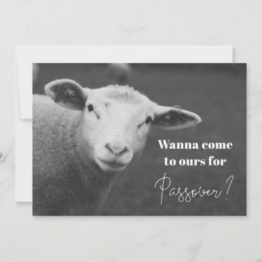 Fun Passover Invitation Kaart (Voorkant)