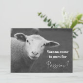 Fun Passover Invitation Kaart (Staand voorkant)