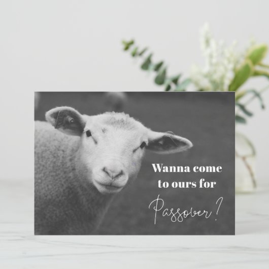 Fun Passover Invitation Kaart (Staand voorkant)
