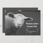 Fun Passover Invitation Kaart (Voorkant / Achterkant)