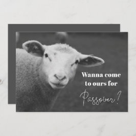 Fun Passover Invitation Kaart