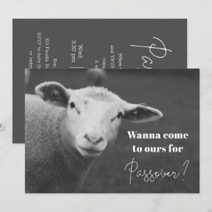 Fun Passover Invitation Kaart