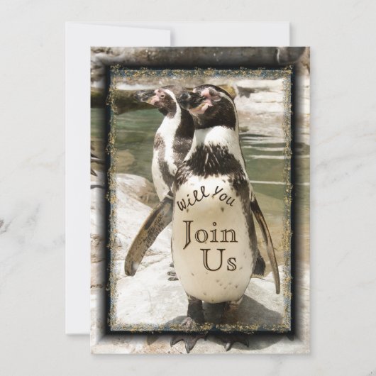 Fun Penguin Foto Zoo Wedding Invitations Kaart (Voorkant)