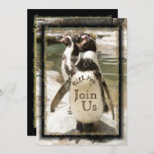 Fun Penguin Foto Zoo Wedding Invitations Kaart (Voorkant / Achterkant)