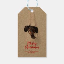 Fun Pet Family Puppy Dog Kerstfoto