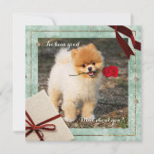 Fun Pommeren Kerstmis Ik ben een goede Kaart voor (Voorkant)