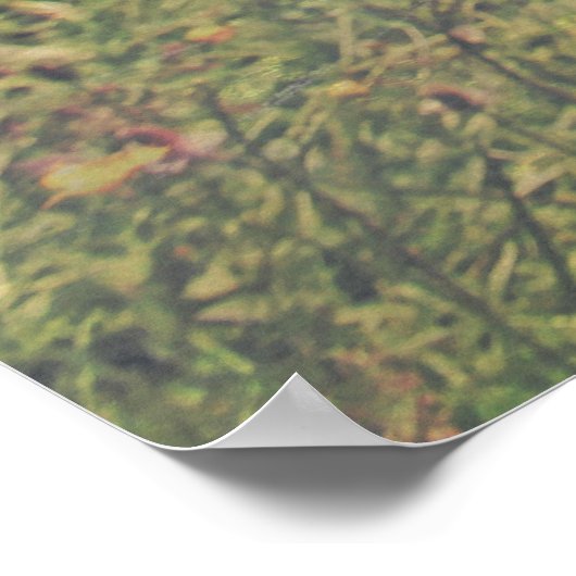 fun poster KEEP CALM (Hoek)