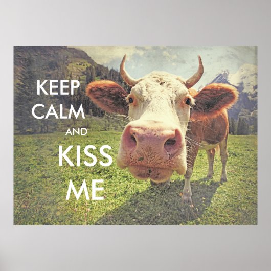 fun poster KEEP CALM (Voorkant)