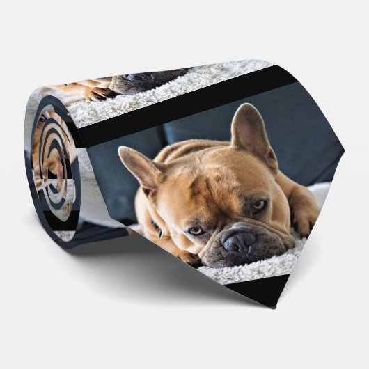 Fun Querky Cute French Bulldog Stropdas (Opgerold)