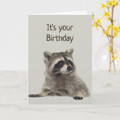 Fun Raccoon heeft geen geld voor Gift Kaart (Gele Bloem)