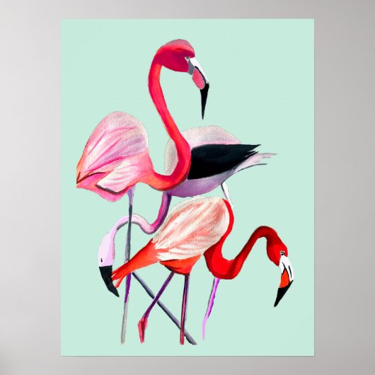 Fun roze flamingo waterverf illustratie poster (Voorkant)