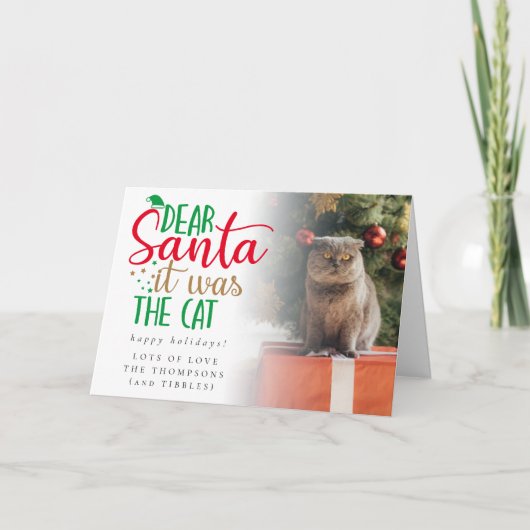 Fun Santa It was Cat Photo Holiday Card Kaart (Voorkant)