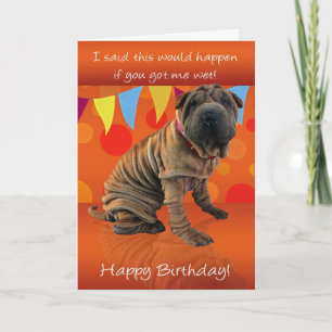 Fun Shar Pei Birthday Card met Birthday Humor Kaart