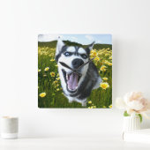 Fun Siberian Husky in de Wilde bloemen Klok (Huis)