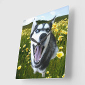 Fun Siberian Husky in de Wilde bloemen Klok (Hoek)