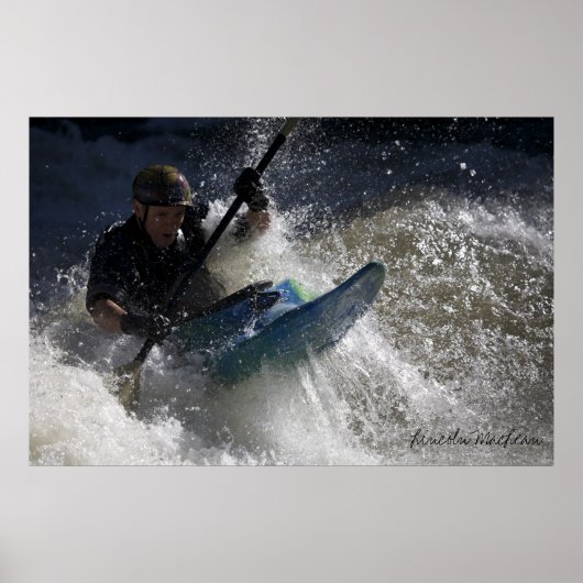 Fun-spatbord (afdrukken) poster (Voorkant)