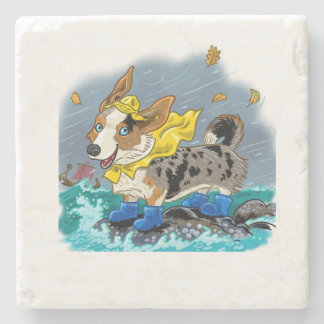 Fun Stone Coaster Stenen Onderzetter