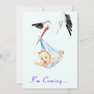 Fun Stork and Baby shower Invitation with QR Code