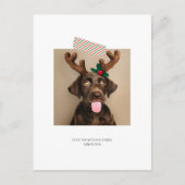 Fun Striped Tape-kerstfoto (briefkaart terug) Briefkaart (Voorkant)