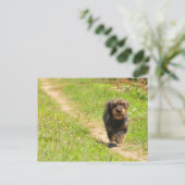 Fun. tijd briefkaart (Staand voorkant)