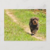 Fun. tijd briefkaart (Voorkant)