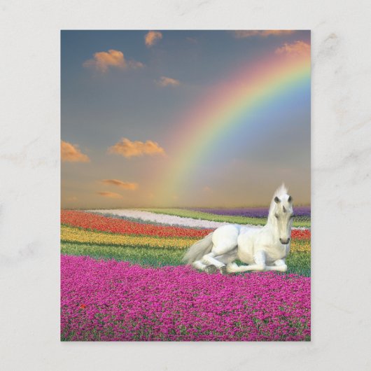 Fun Unicorn Foals Rainbow Fantasy Budget Flyer (Achterkant)