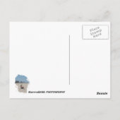 Fun Venice Beach Briefkaart! Briefkaart (Achterkant)
