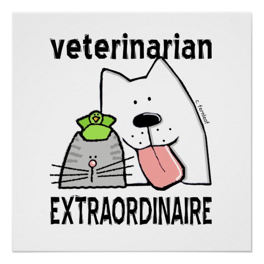 Fun Veterinarian Extraordinaire Perfect Poster (Voorkant)