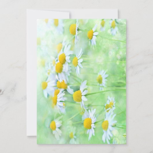 Fun White Daisies Contrasting Fonts Uitnodiging (Achterkant)