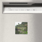 Funchal, Madeira, Portugal Magneet (Insitu (Vaatwasser))