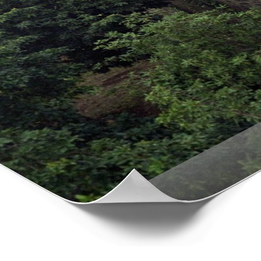 Funchal, Madeira, Portugal Poster (Hoek)