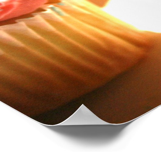 Functies! Poster (Hoek)