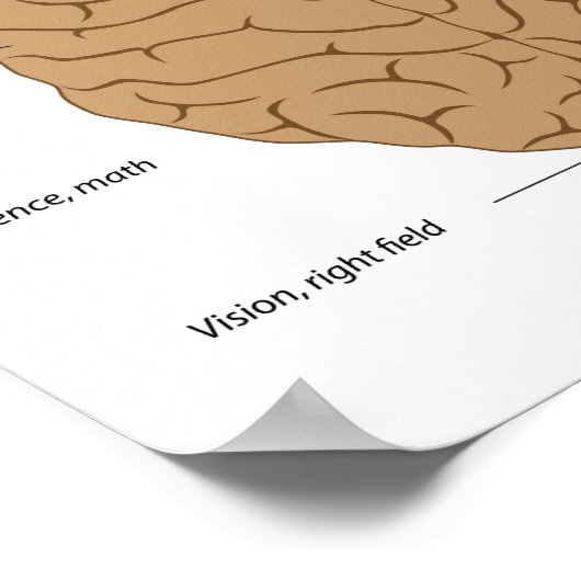 Functies van het Poster van de hersenen (Hoek)